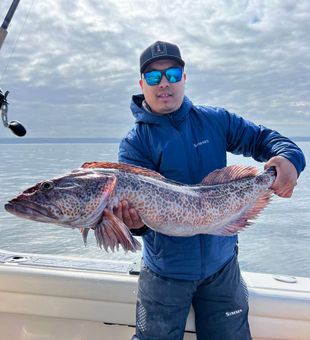 Light tackle gear lands big fish in Seattle